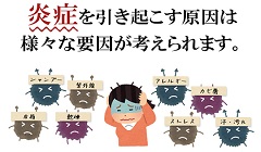 ����,�q����,���䂢,���[�V����